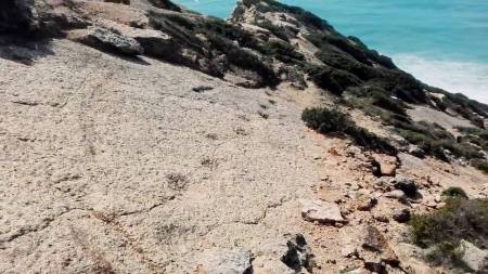Dinosaur Footprints in Sesimbra