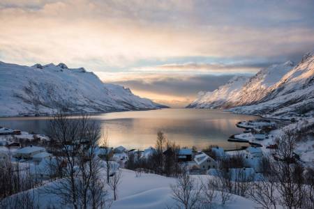 Fjäll Pour Le Fjord De Narvik Excursion D’une Journée (Nov-Mars)