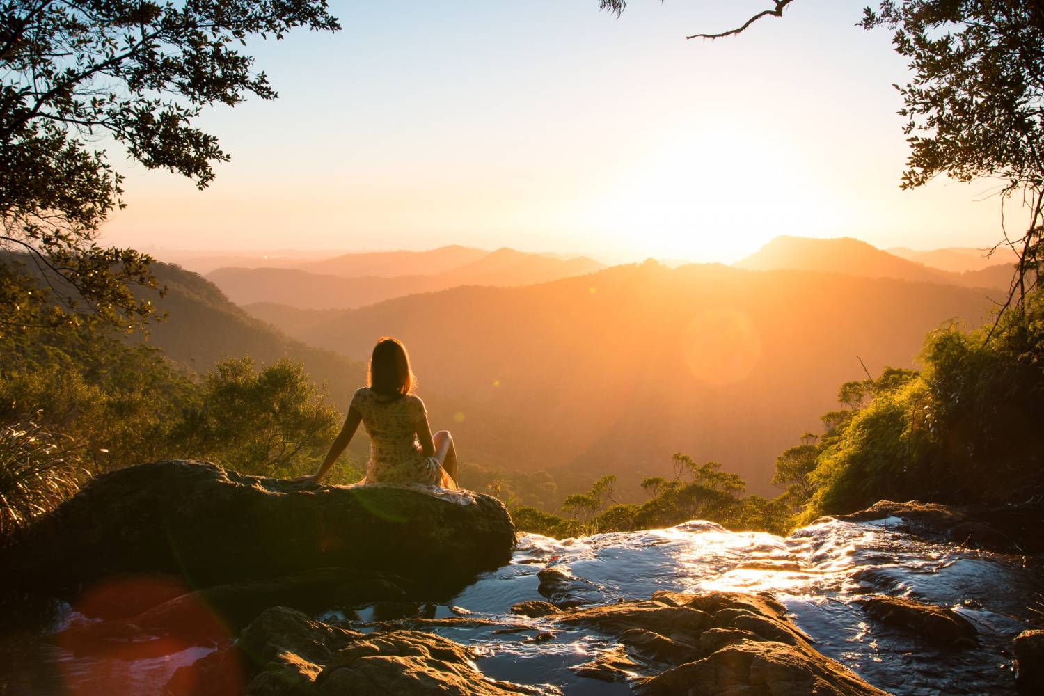 Springbrook National Park Top Tours and Tips