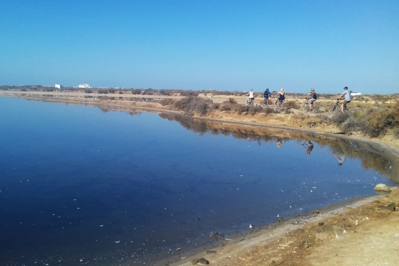 Cycling In The Ria Formosa