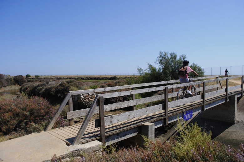 Cycling In The Ria Formosa