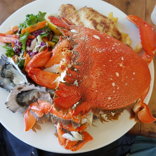 Catch A Crab Tour Including Seafood Basket Lunch Tweed Heads, Nsw