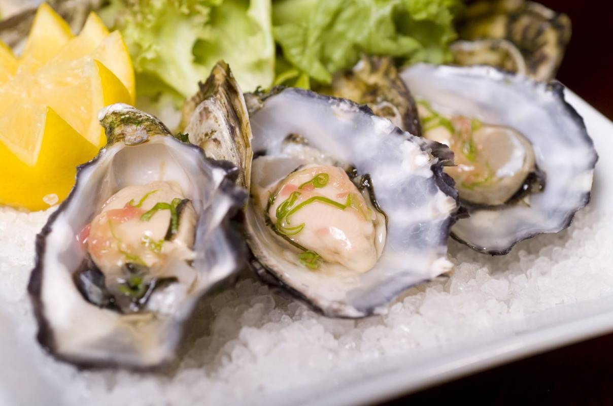 Seafood And Champagne Cruise - Sorrento Vic