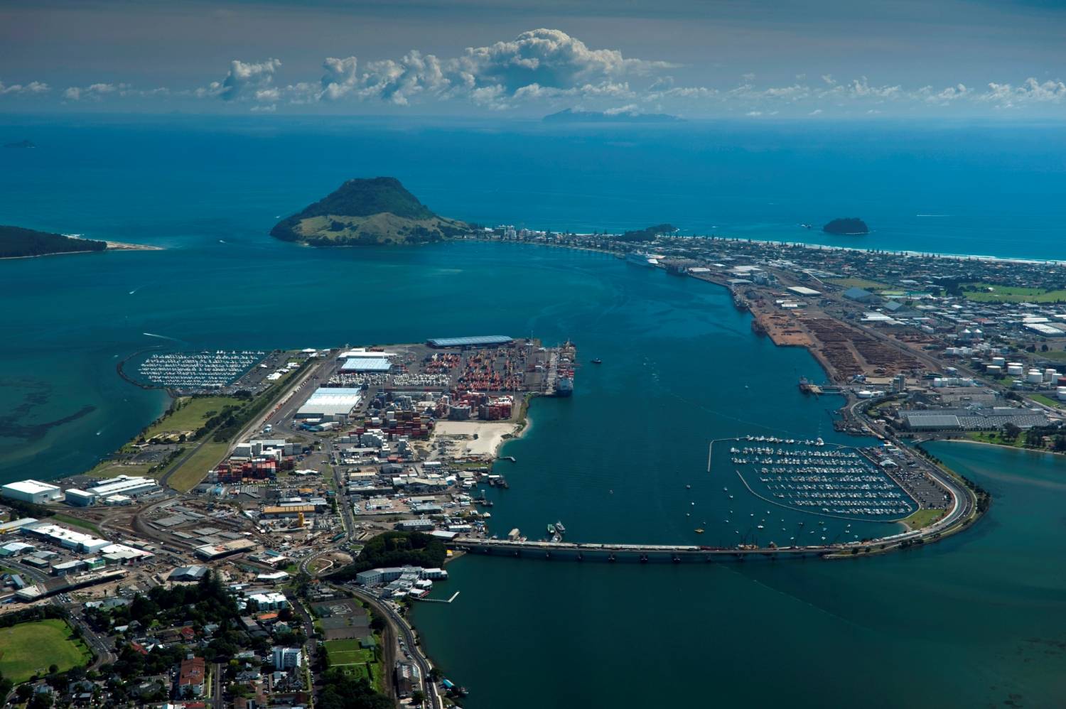 Tauranga Top Tours and Trips
