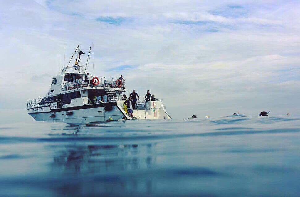 Seafood And Champagne Cruise - Sorrento Vic