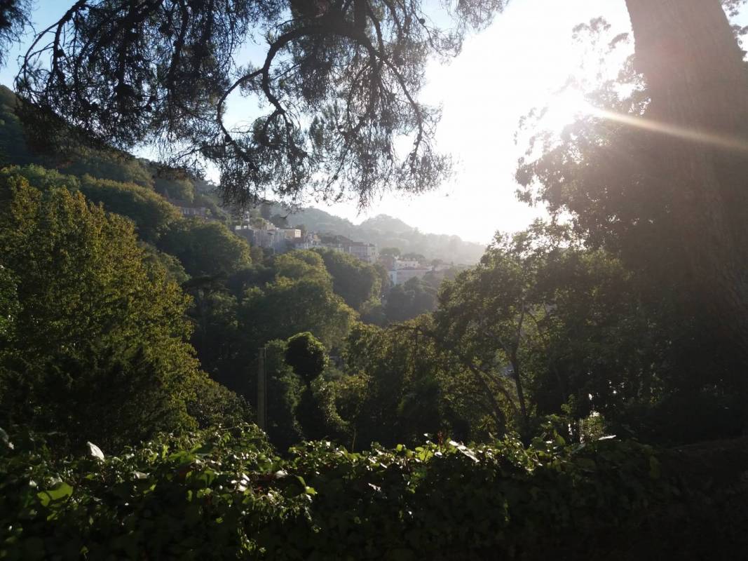 Sintra Tour