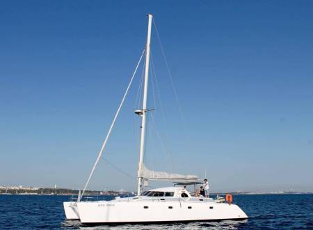 From Setúbal: 3 Hours Private Dolphin Watching Tour On A Sailing Catamaran