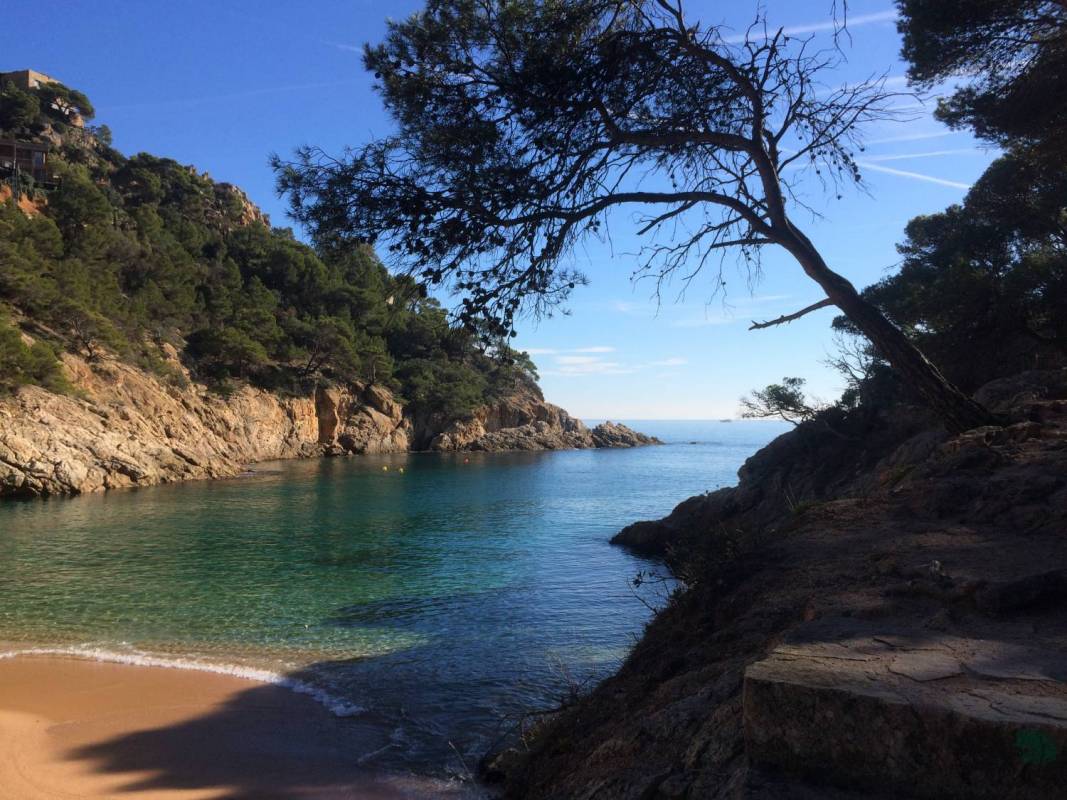 Hiking Tour To Costa Brava Coast Path Tossa De Mar | experitour.com