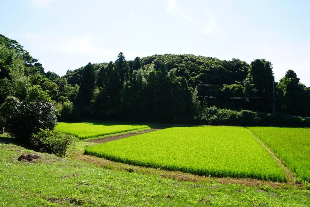 Explore The Edo Town - Japan | experitour.com