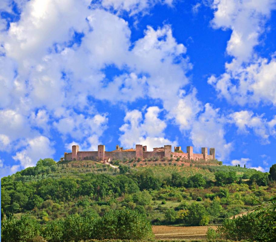 Chianti Half Day Afternoon Tour - From Florence