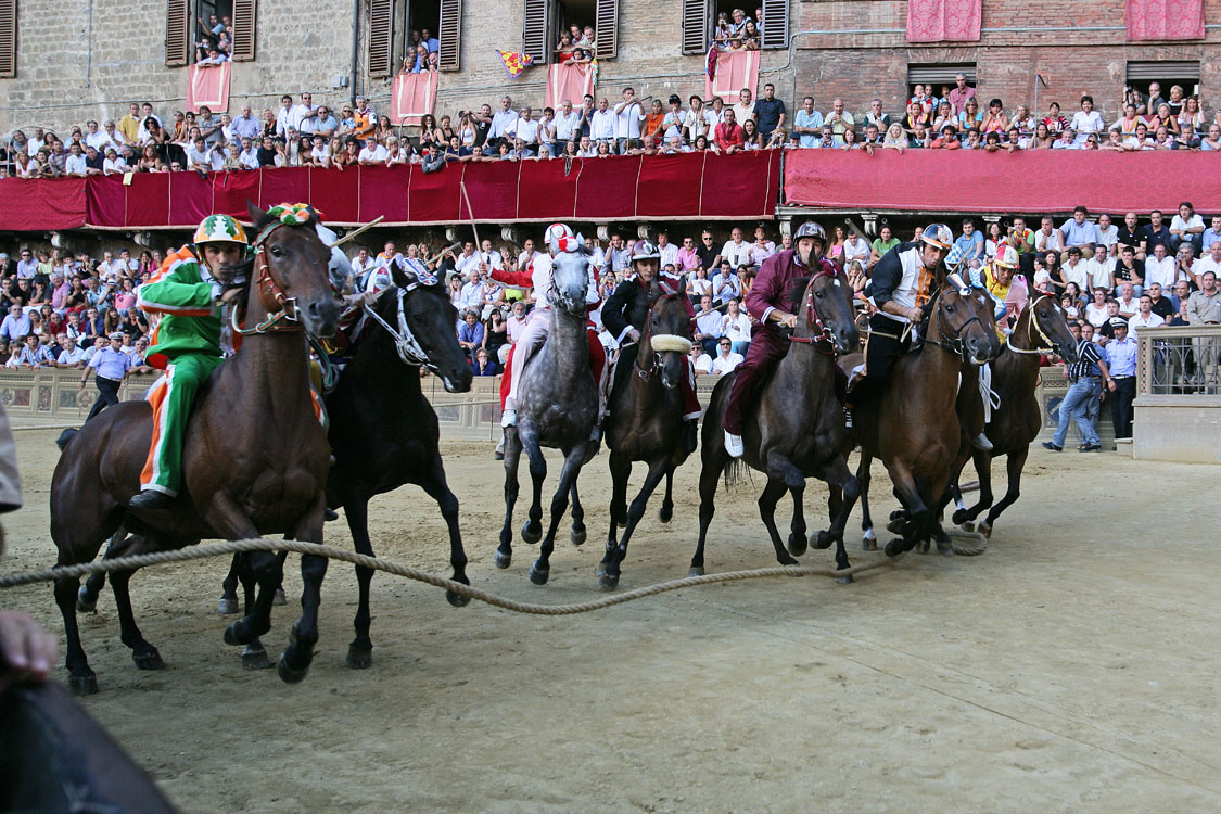 Siena Palio horse race