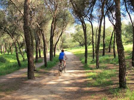 Madrid: Bike Tour To The Literary Quarter And Retiro Park