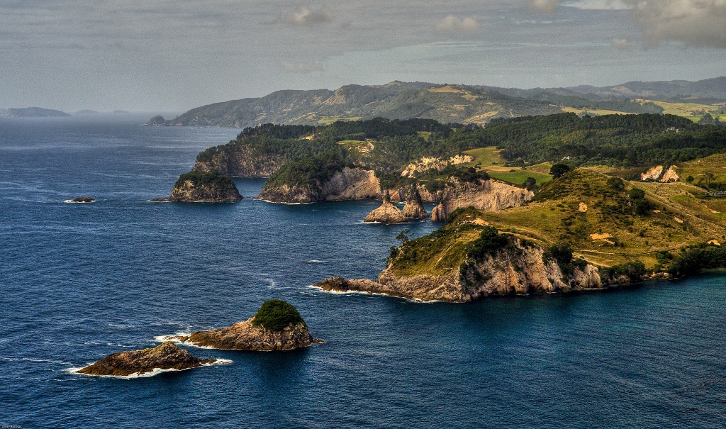Coromandel Coast And Meal