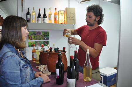 Natural Wine Tour In Maresme County Departing From Barcelona