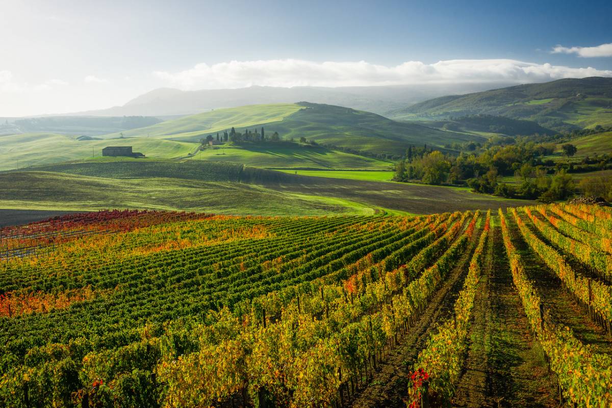 Chianti Half Day Afternoon Tour - From Florence
