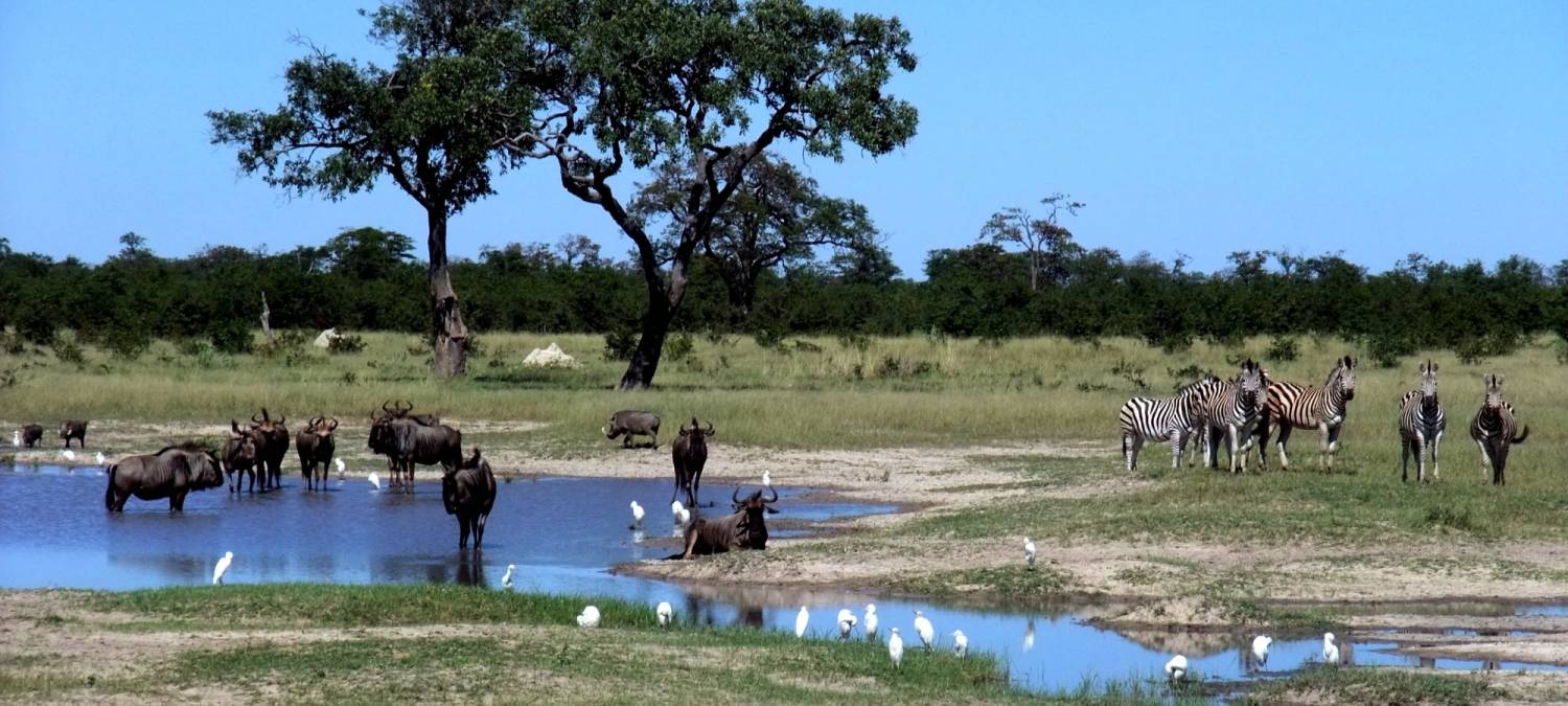 Kasane Top Tours and Trips