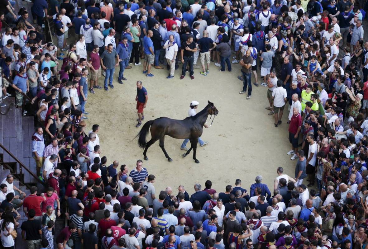 Palio Siena