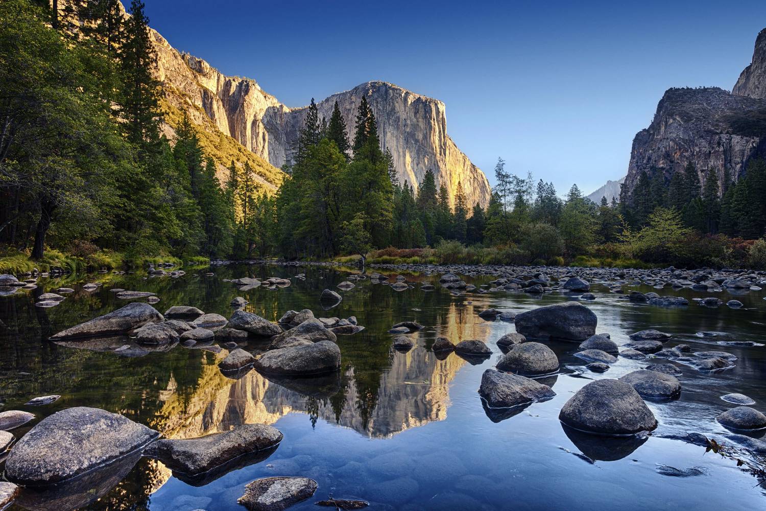 Yosemite National Park Top Tours And Tips 