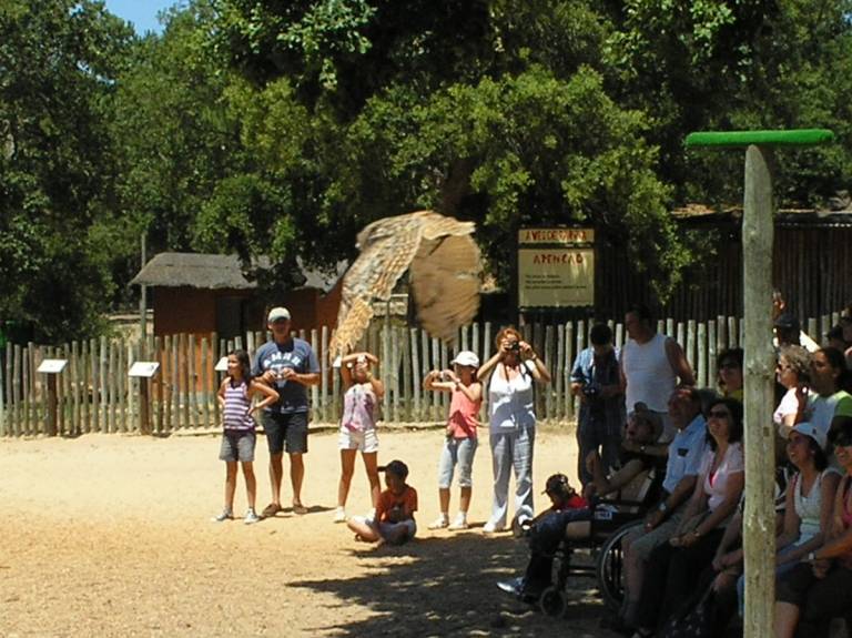 badoca safari park rezensionen