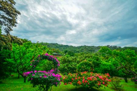 Cloud Forest Chills In Monteverde, Costa Rica