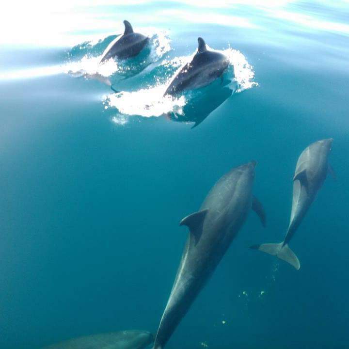Ria Formosa Natur Park