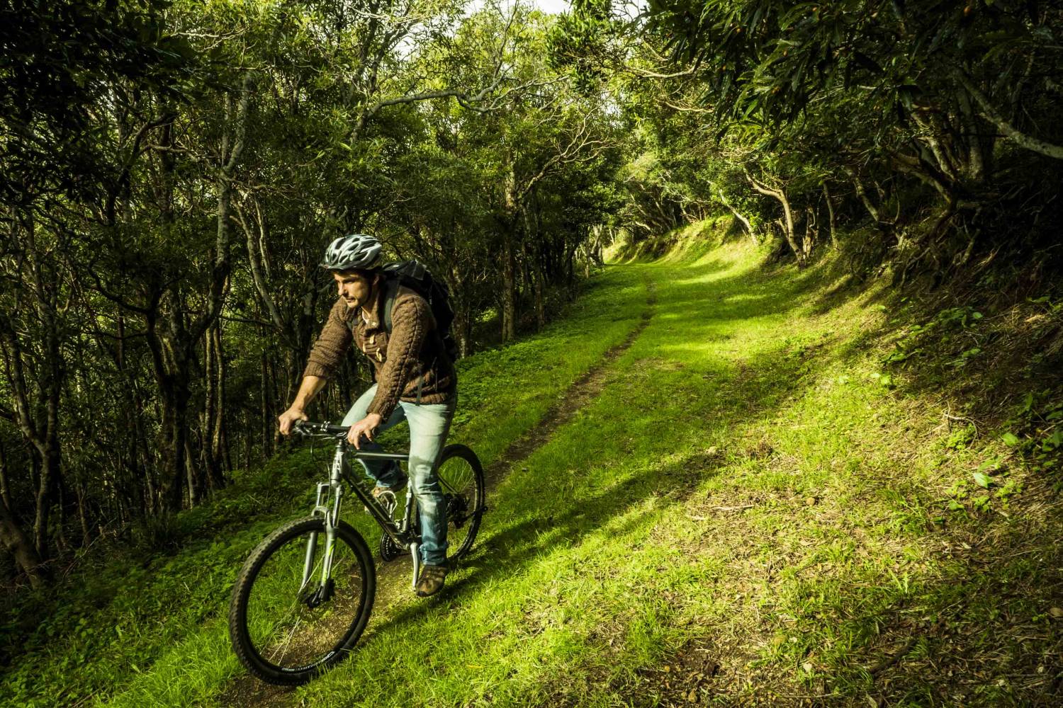 Abenteuer Mountainbike, TerceiraInsel, Azoren