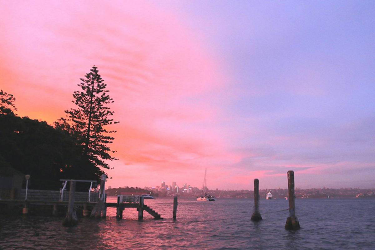 Sydney harbour Sunset