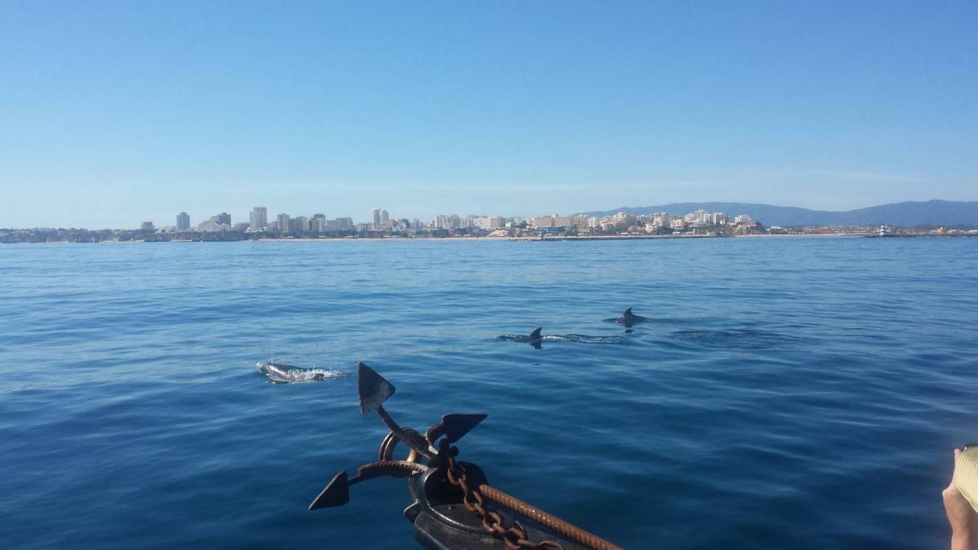 Private Boat Tour From Portimão To The Benagil Caves