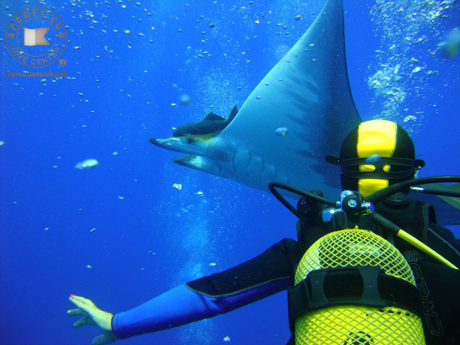 10 Scuba Diving Pack, São Miguel Island, Azores