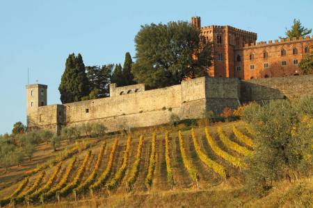 De Siena: Excursão De Grupos Pequenos Na Região De Chianti E Seus Castelos
