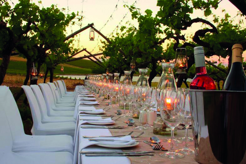 Dinner In The Chianti Vineyards