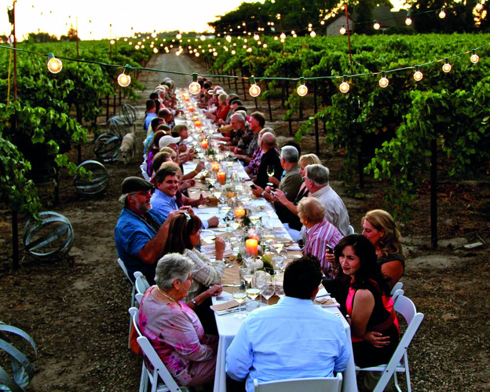 Dinner In The Chianti Vineyards