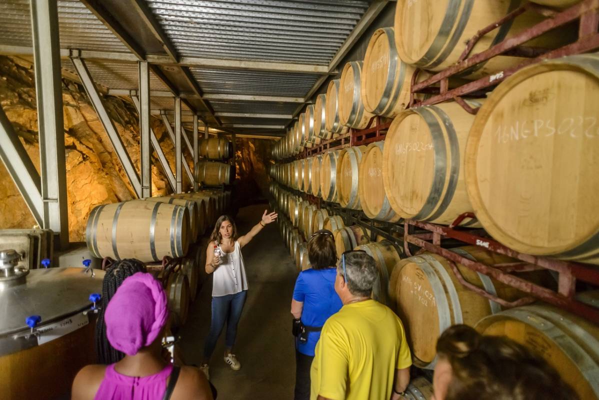 Winery Barcelona Ebike wine tasting tour