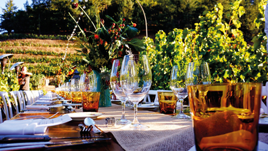 Dinner In The Chianti Vineyards