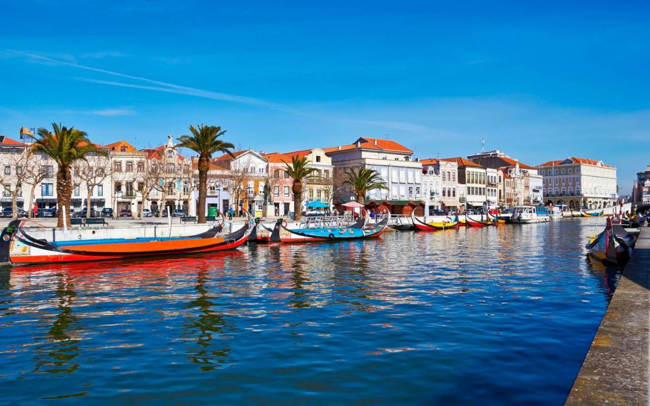 Tour To Aveiro And Coimbra, Leaving Lisbon. All Day