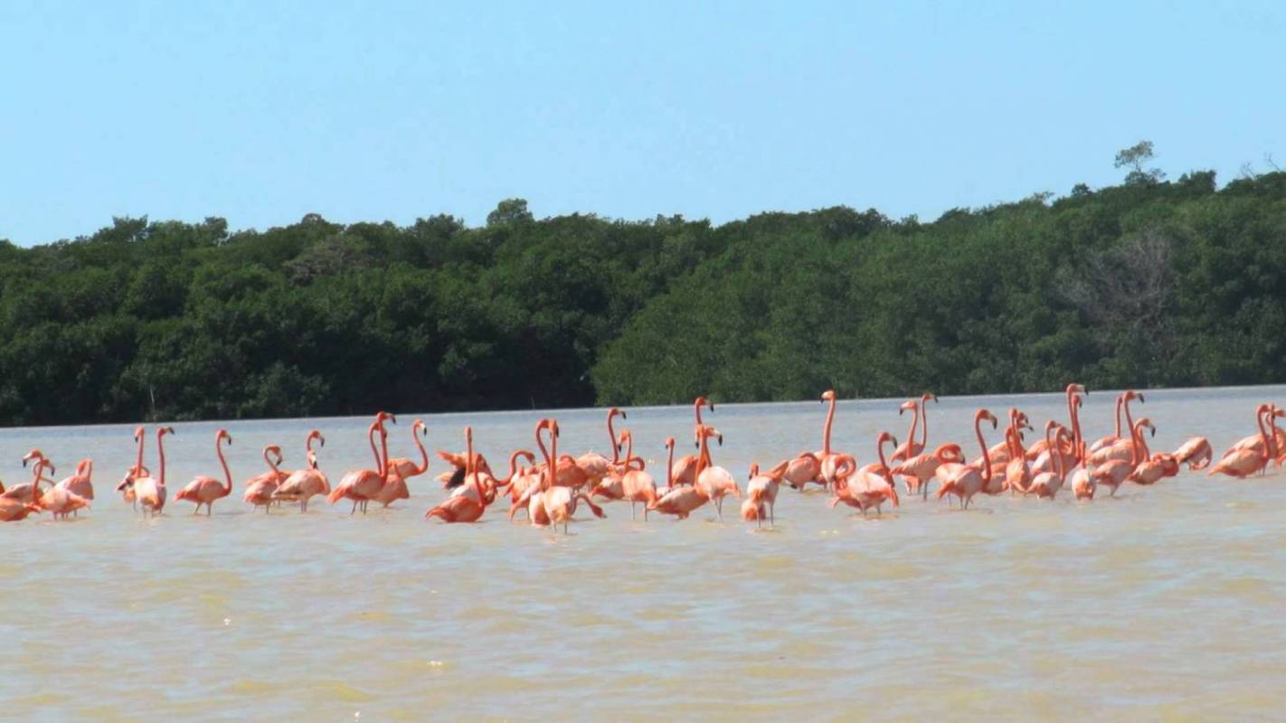Celestun Nature Reserve