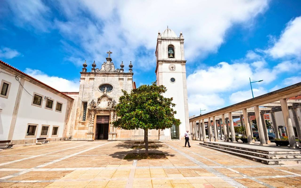 Tour To Aveiro And Coimbra, Leaving Lisbon. All Day