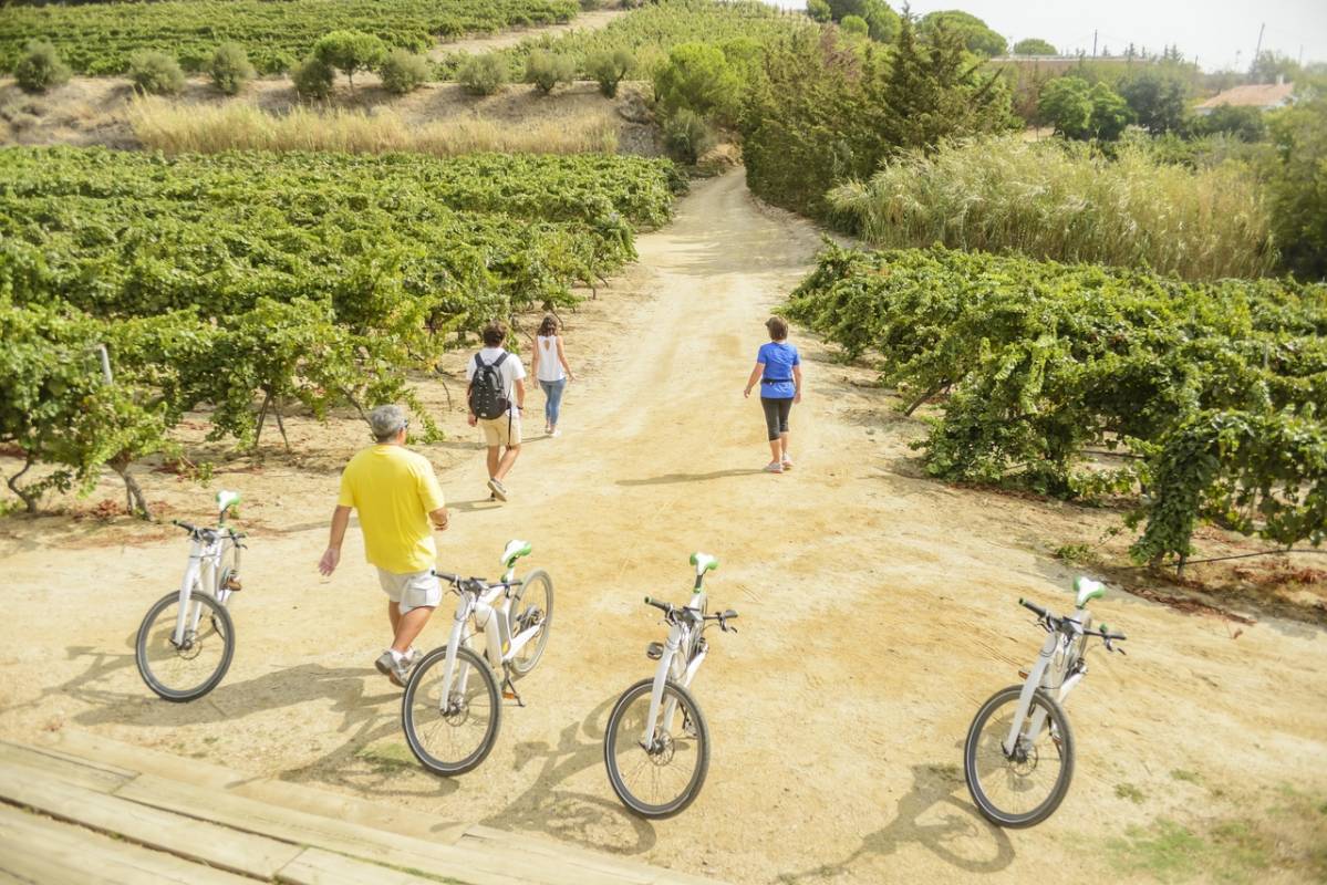 Winery Barcelona Ebike wine tasting tour