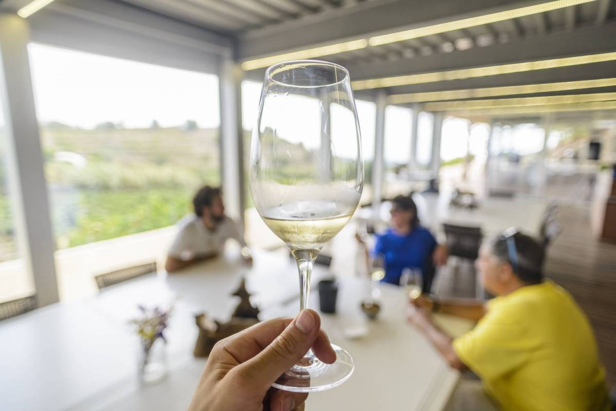 Winery Barcelona Ebike wine tasting tour