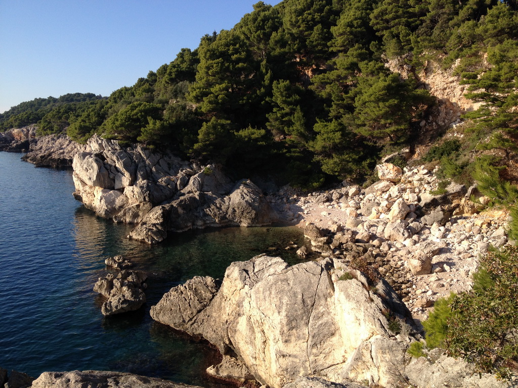 Zaton Bay Kayaking Half Day Trip - Morning Departure