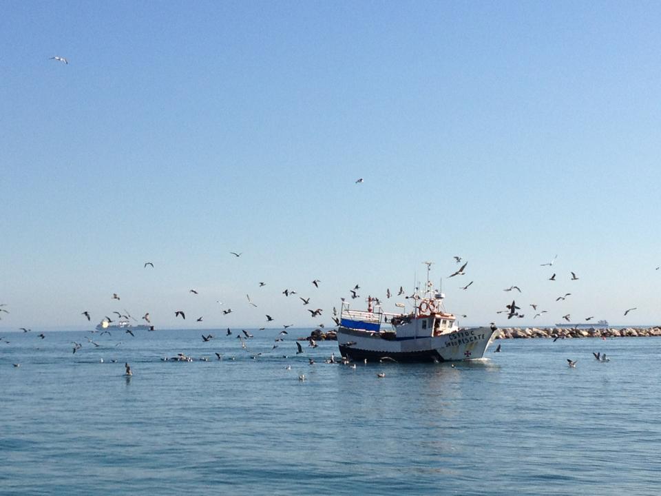 Motorboat Cruise In Lisbon - Fast & Convenient Tour Of Lisbon's Significant Landmarks