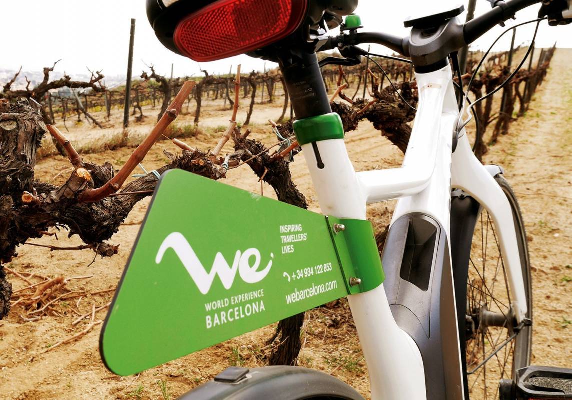 Winery Barcelona Ebike wine tasting tour