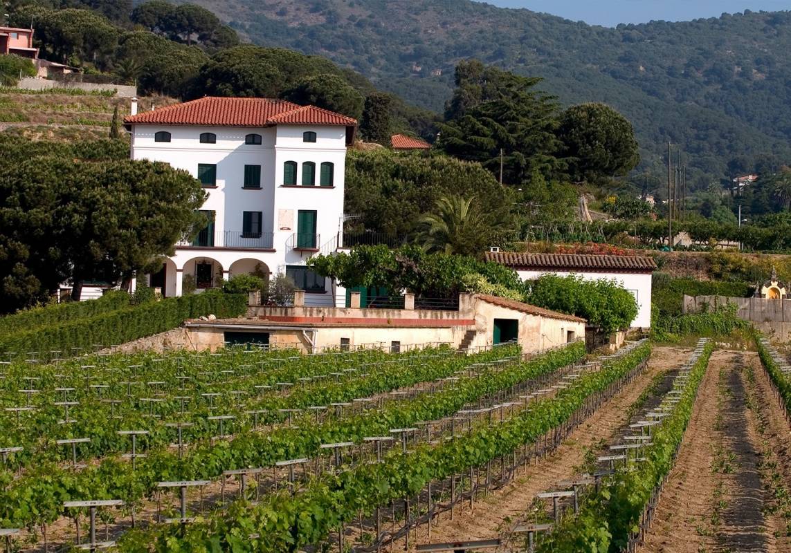Winery Barcelona Ebike wine tasting tour
