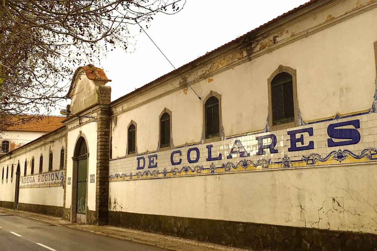 Sintra Tour With Wine Tasting