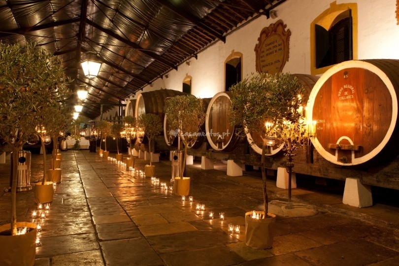 Sintra Tour With Wine Tasting