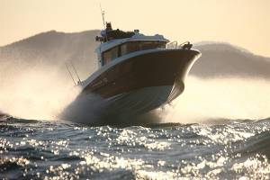 Fishing Tour In Lisbon