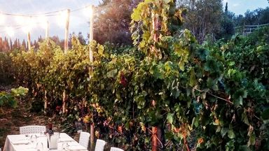 Dinner In The Chianti Vineyards