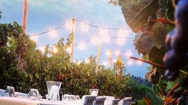 Dinner In The Chianti Vineyards