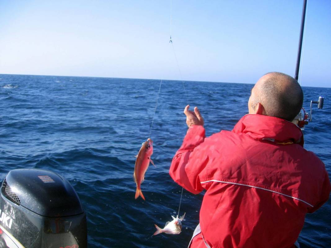 From Cascais: 4H Deep Sea Fishing