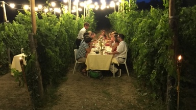 Dinner In The Chianti Vineyards